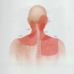 안양 고래한의원 - 1 11