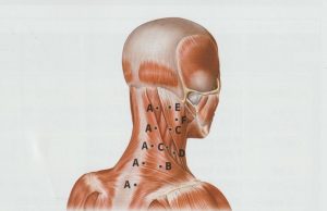 안양 고래한의원 - 1 9
