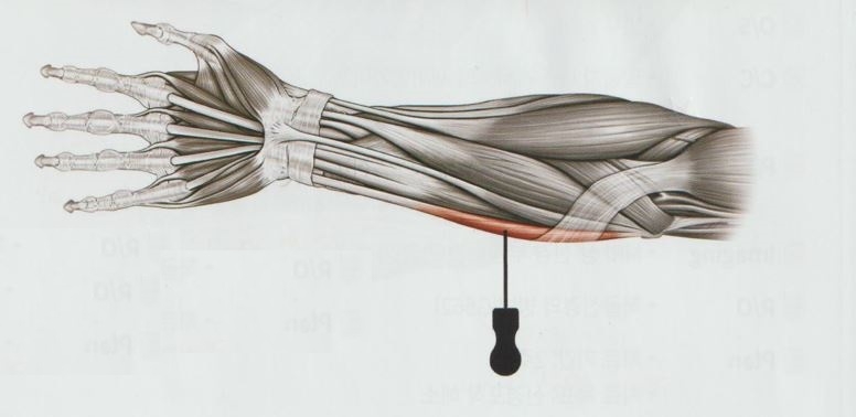 골프 엘보우 주관절 내상과염06