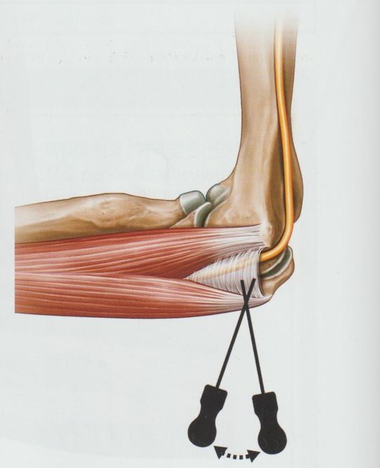 주관 증후군 팔꿈치 터널 증후군03