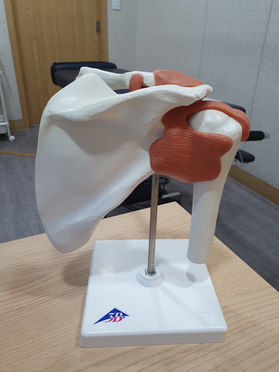 회전근개증후군01