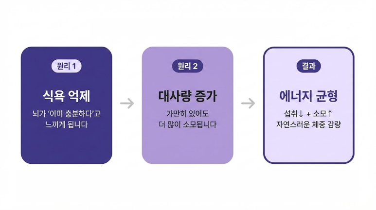 린다이어트0