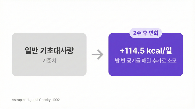 안양 고래한의원 - 다이어트한약 원리, 체중 변화가 나타나는 과정은?